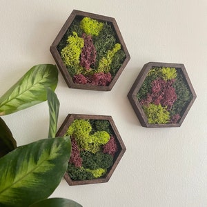 Moss Wall Art | Honeycomb Moss Decor | Single to Set of Twelve | Wood Hexagon  | Green and Pink