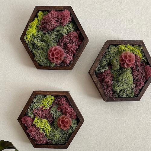 Moss Preserved Moss Wall Art Wall Art Home Etsy Canada