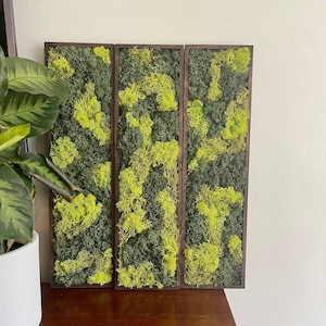 Moss Wall Art | Preserved Moss Art Framed | Moss Wall Decor | Wood Frame | Rectangle Single to Set of Six | Reindeer and Pole Moss