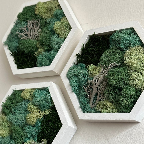 Moss Wall Art | |Honeycomb Moss Decor | Single to Set of Twelve | Wood Hexagon  | Reindeer Moss | Sheet Moss  | Green & Turquoise