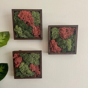 May include: Three framed moss wall art pieces with a mix of green and red moss. The frames are dark brown wood.
