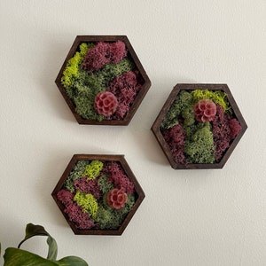 Moss Wall Art  | Honeycomb Moss |  Home  Decor  | Wood Hexagon  | Green Moss and Red, Yellow or Pink Preserved Scabiosa