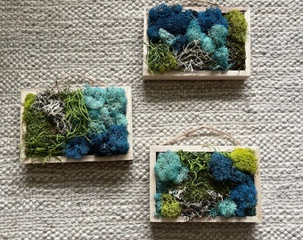 Moss Wall Art | Preserved Moss Art Framed | Rectangle Trio | Blue Teal and Green