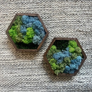 Moss Wall Art  | Honeycomb Moss Single to Set of Twelve  |  Home  Decor  | Wood Hexagon  | Green Grass, Mint, Teal and Beige