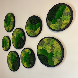 Moss Wall Art Circle Frame | Preserved Moss Art Framed | Moss Wall Decor | Single or Set of 2 | Reindeer & Sheet Moss | Christmas Gift