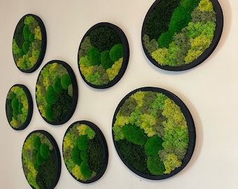 Moss Wall Art Circle Frame | Preserved Moss Art Framed | Moss Wall Decor | Single or Set of 2 | Reindeer & Sheet Moss | Christmas Gift