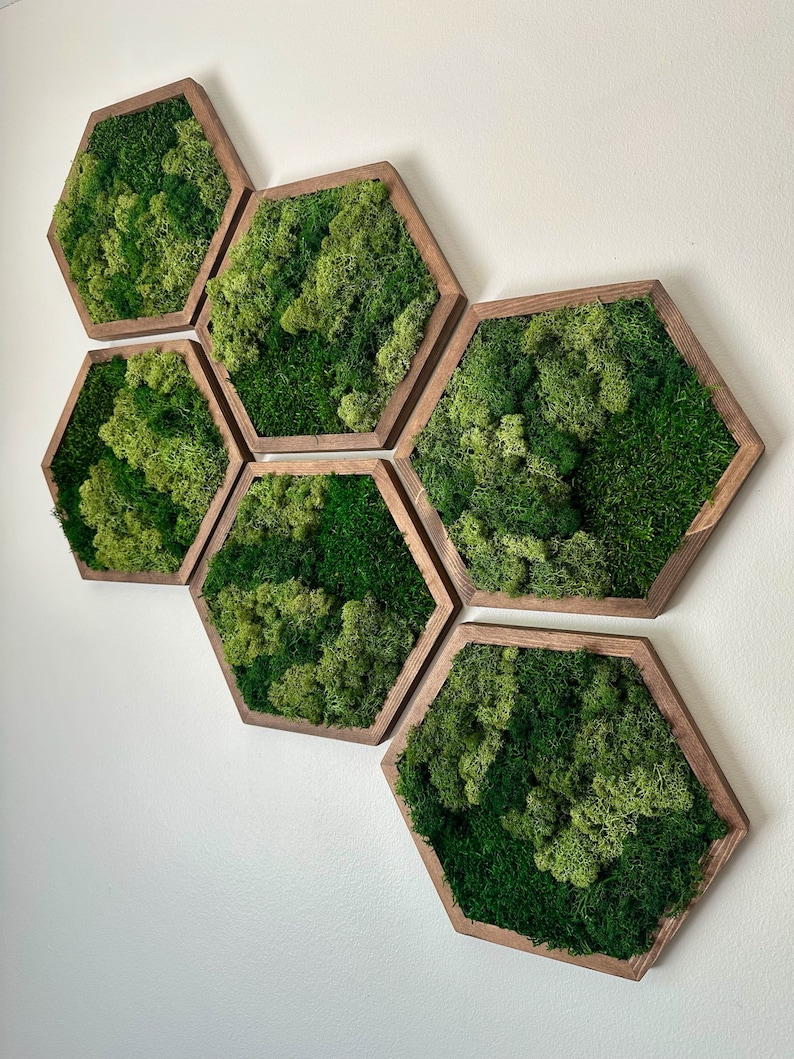 Handmade Wood Hexagon Moss Wall Art: Preserved Lichen & Fern Decor ...