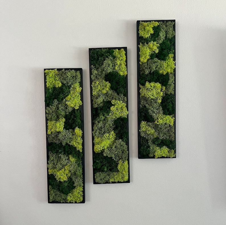 Moss Wall Art Moss Wall Decor Preserved Moss Art Framed Etsy
