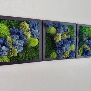 Peut inclure: Trois œuvres d'art murales encadrées présentant un mélange de mousse verte, bleue et chartreuse. La mousse est disposée selon un motif naturel et texturé dans des cadres carrés noirs, créant une esthétique vibrante et organique. L'œuvre est fixée sur un mur blanc.