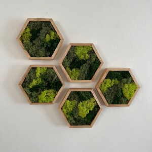May include: A wall decor set of five hexagonal frames with preserved moss inside. The frames are made of light brown wood and are arranged in a staggered pattern. The moss is a mix of green and light green.