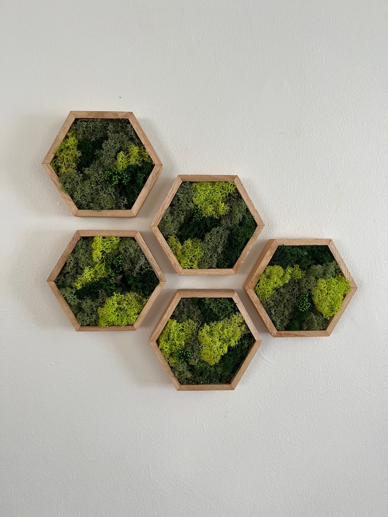May include: A wall decor set of five hexagonal frames with preserved moss inside. The frames are made of light brown wood and are arranged in a staggered pattern. The moss is a mix of green and light green.