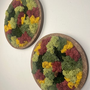 Moss Wall Art Circle | Preserved Moss Art Framed | Moss Wall Decor | Single or Set of Two | Reindeer & Sheet Moss | Gift | Christmas