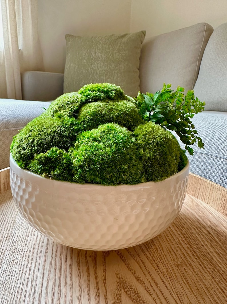 May include: A white ceramic bowl with a textured surface filled with green moss and a sprig of green foliage.
