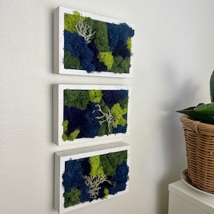 Moss Wall Art | Preserved Moss Art Framed | Moss Frame Rectangle  | Blue Purple and Green