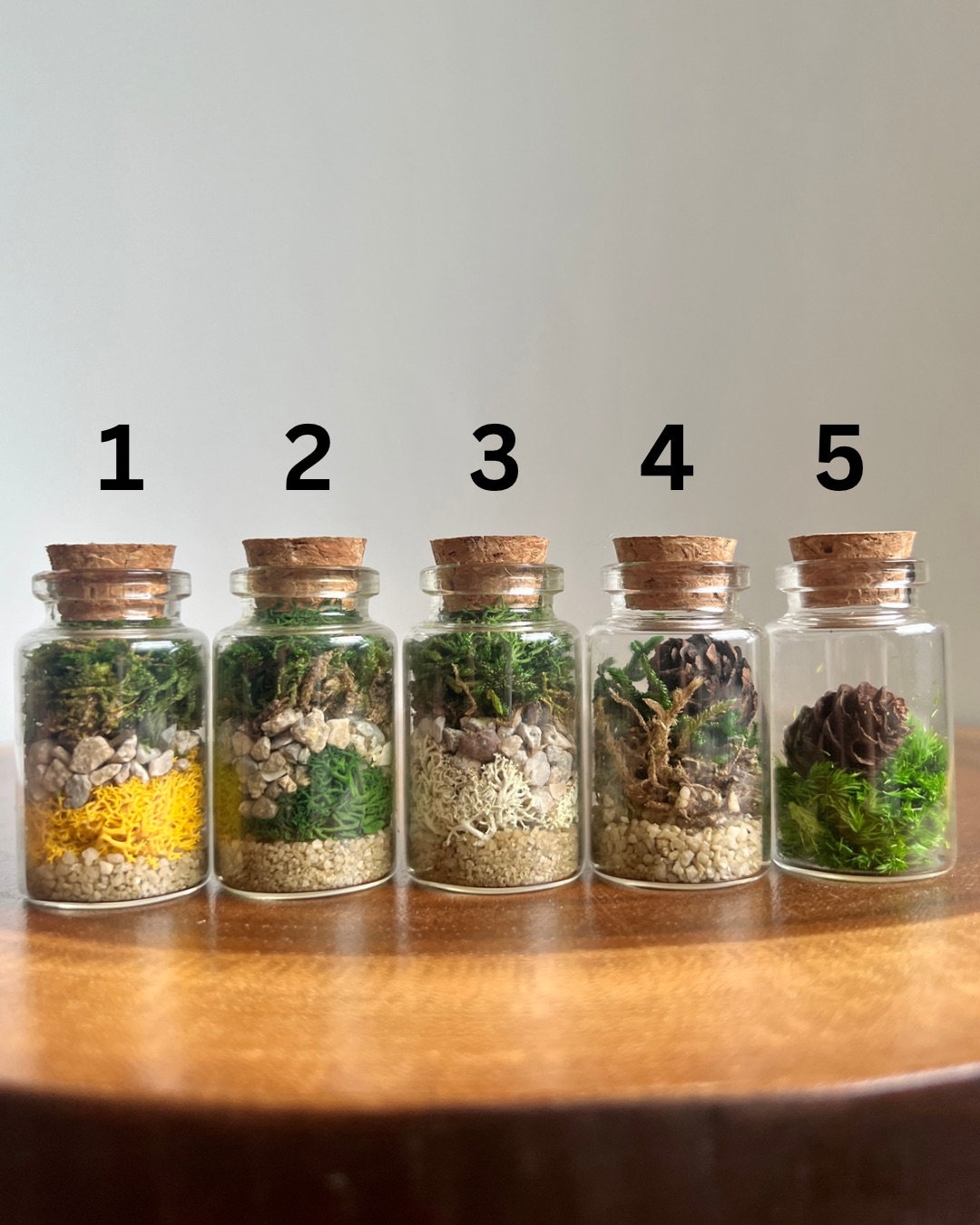 Mini Moss Terrarium Reindeer Moss Preserved Sheet Moss Pole Moss Rocks