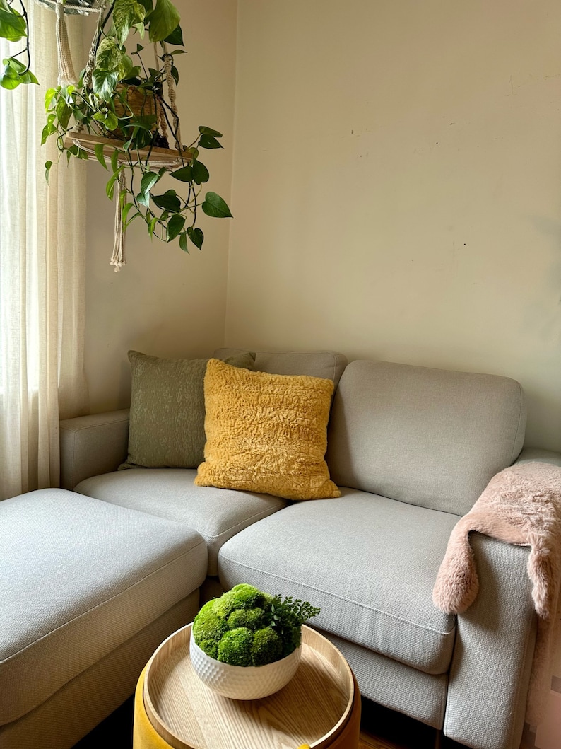 May include: A light gray sectional sofa with a yellow throw pillow and a green plant in a white pot on a wooden tray. The sofa is in a living room with a hanging plant in the background.