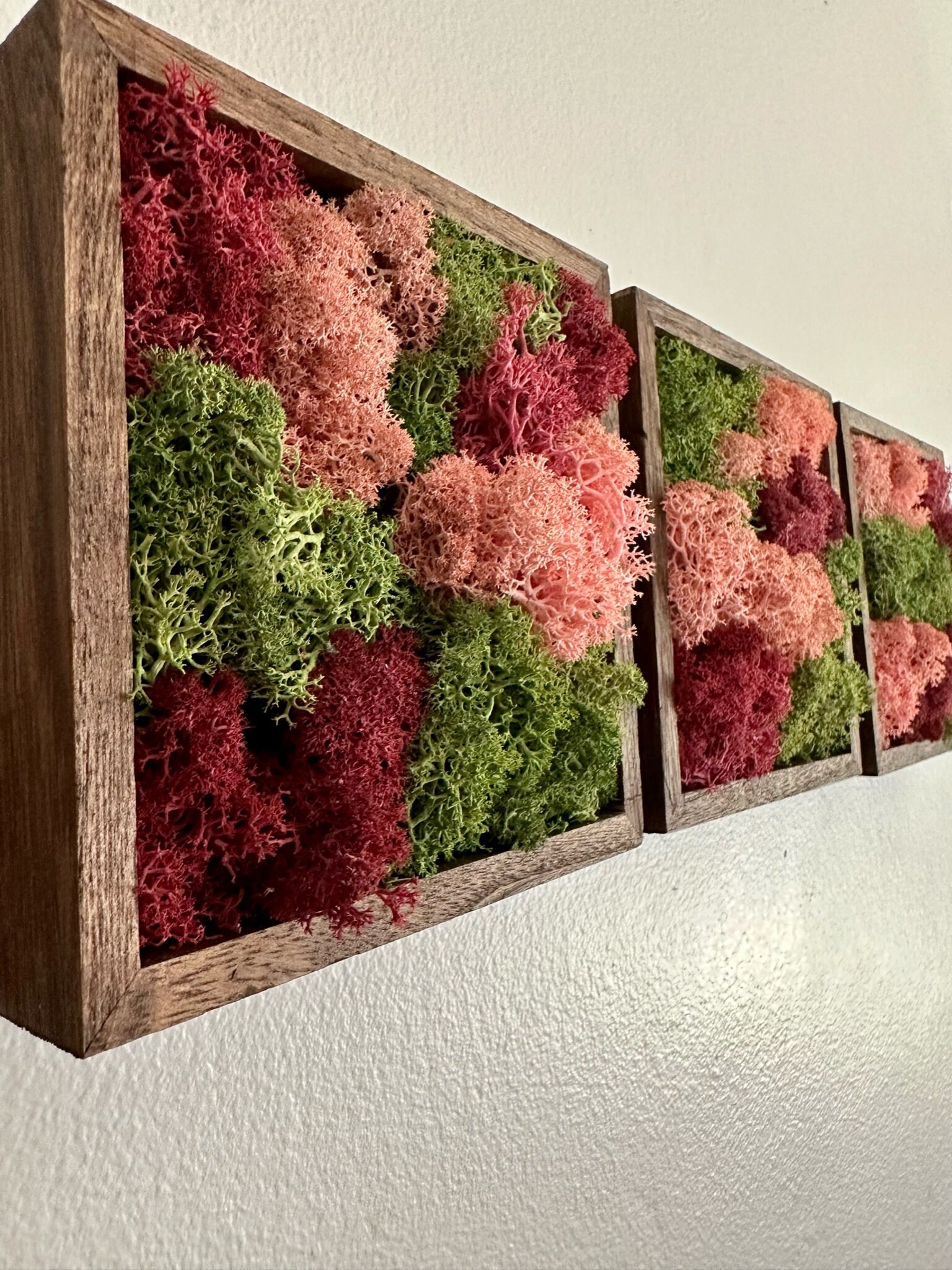 Moss Wall Art | Preserved Moss Art Framed | Moss Square Wood Frame  | Green and Pink