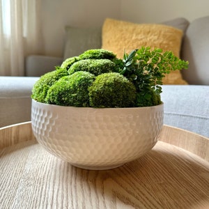 May include: A white ceramic bowl with a textured surface, filled with a green moss arrangement. The bowl is sitting on a wooden tray.