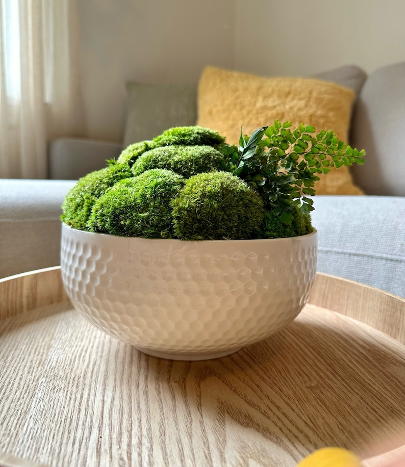 May include: A white ceramic bowl with a textured surface, filled with a green moss arrangement. The bowl is sitting on a wooden tray.