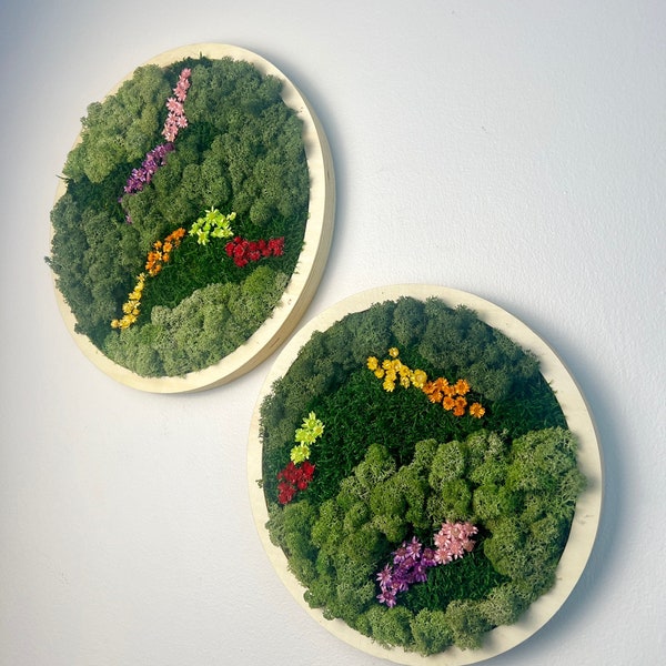 Moss Wall Art Circle | Preserved Moss Art Framed | Moss Wall Decor | Single or Set of 2 | Reindeer & Sheet Moss | Unique Gift | Wedding