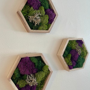 Moss Wall Art | Preserved Moss Wall Decor  | Home Decor | Moss Wood Hexagon  | Green and Purple