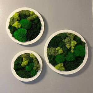 Moss Wall Art Circle | Preserved Moss Art Framed | Moss Wall Decor | Moss Circle Wall | Green Reindeer Moss Pole Moss Sheet Moss | Gift