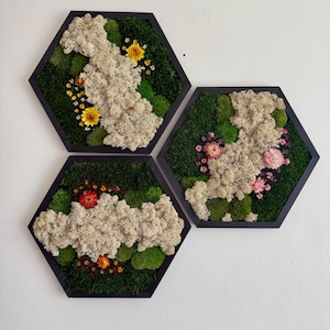May include: Three hexagonal wall decor pieces with black frames. Each piece features preserved moss and dried flowers in shades of green, white, pink, and yellow.