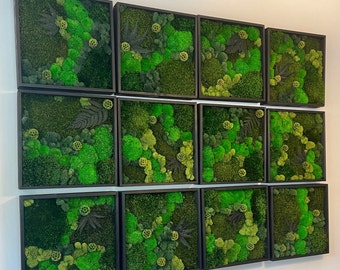 Preserved Reindeer Moss Wall Art: 12" Wood Frame, Ethically Sourced | USA - TARIFF FREE