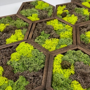 Moss Wall Art | Preserved Moss Wall Decor  | Single to Set of Twelve | Wood Hexagon  | Green and Brown Reindeer Moss | Mothers Day Gift