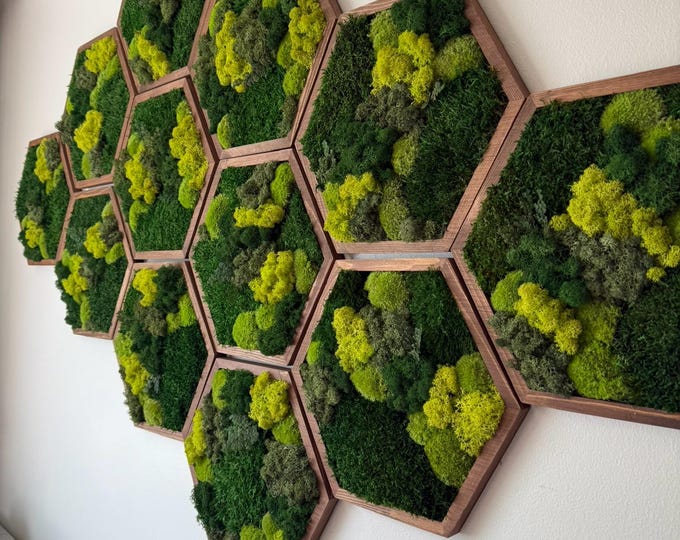 Honeycomb Preserved Moss Wall Art: Hexagon Reindeer Moss Decor | USA ORDERS - Tariffs/Duties Prepaid