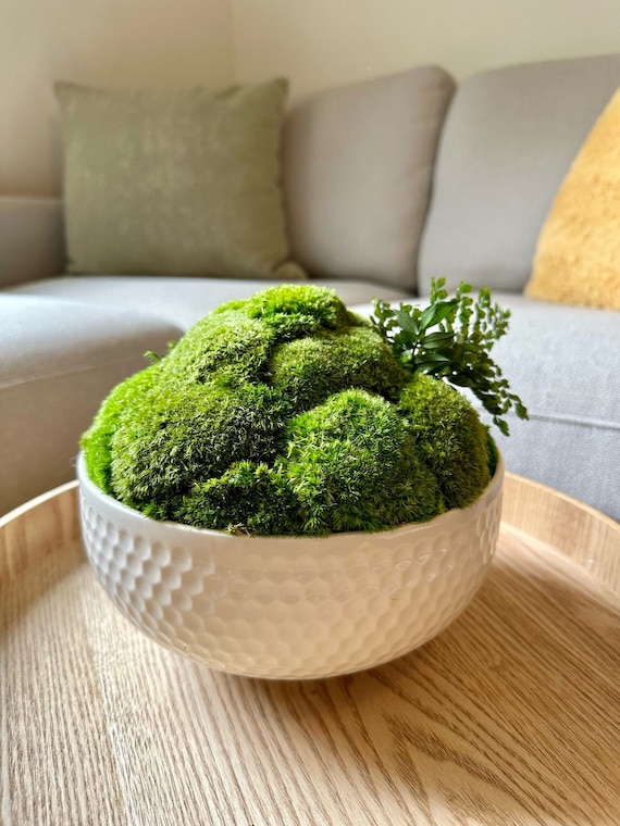 Preserved Pole Moss Centerpiece: Ceramic Bowl, Green Moss Decor | USA ORDERS - Tariffs/Duties Prepaid
