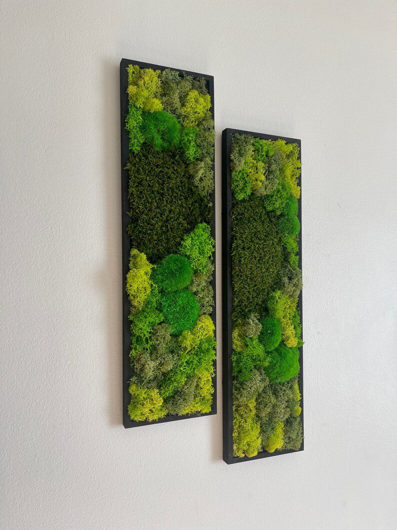 Moss Wall Art Preserved Moss Art Framed Moss Wall Decor Etsy