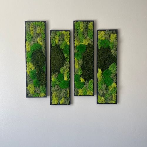 Moss Preserved Wall Art Framed Set Decor Etsy