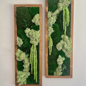 Moss Wall Art | Preserved Moss Art Framed | Moss Wall Decor | Moss Wall Sets | Rectangle Single to Six Set | Green Reindeer Moss Pole Moss