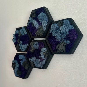 Moss Wall Art  | Wood Hexagon  with Moss   |  Home  Decor  | Sets 1 to 12,  5” x 6”  | Reindeer Moss | Purple Blue and Grey