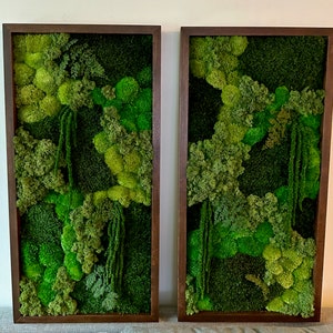May include: Two framed moss wall art pieces featuring a range of green moss textures and shades. The frames are dark brown wood.
