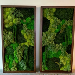 Lavish Moss Wall Art, Moss Art Work, Moss Art, Preserved Moss Art