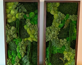 Moss Wall Art | Preserved Moss Art | Moss Wall Decor | Wood Frame Sets | Large Rectangle Single - Four Set | Green Reindeer Sheet  Pole Moss