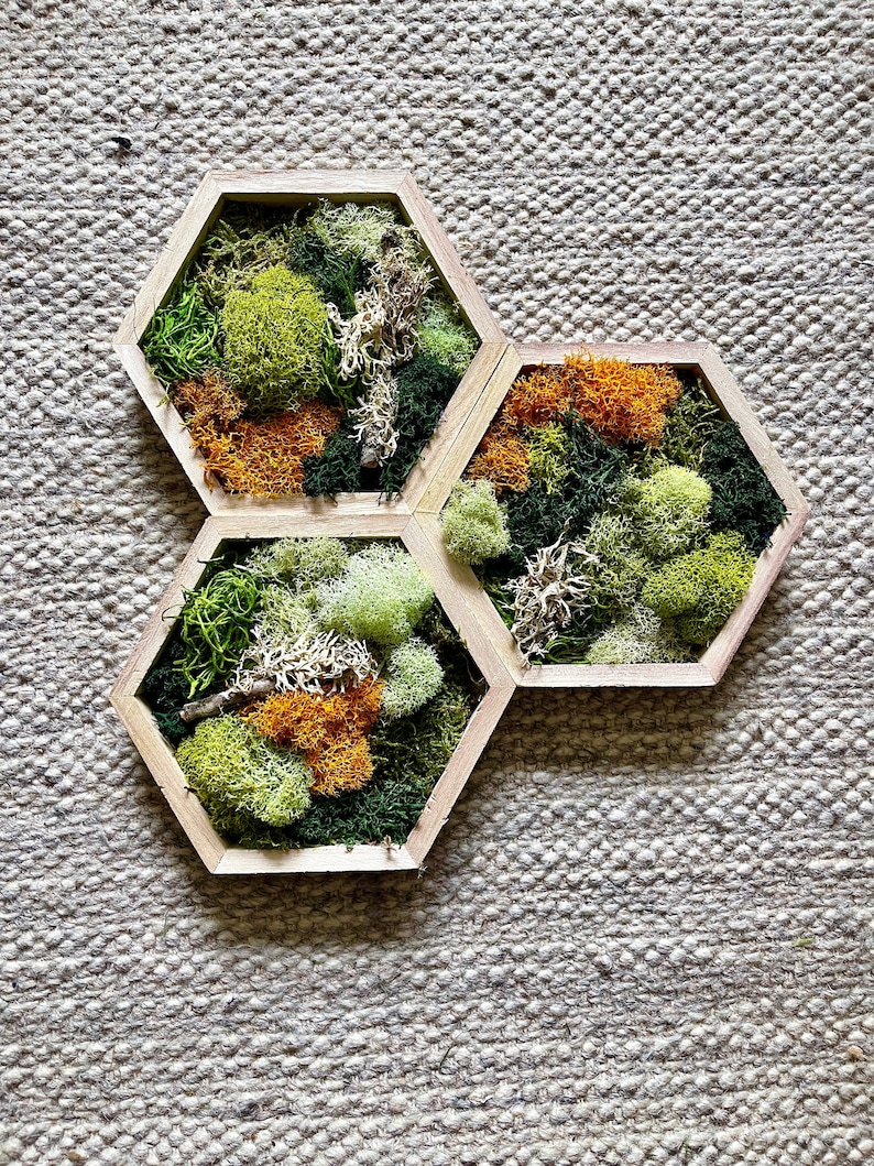 Moss Preserved Moss Wall Art Wall Art Home Etsy Canada