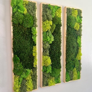 Moss Wall Art | Preserved Moss Art Framed | Moss Wall Decor | Moss Wall Sets | Rectangle Single to Six Set | Green Reindeer Moss Pole Moss