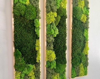 Moss Wall Art | Preserved Moss Art Framed | Moss Wall Decor | Moss Wall Sets | Rectangle Single to Six Set | Green Reindeer Moss Pole Moss