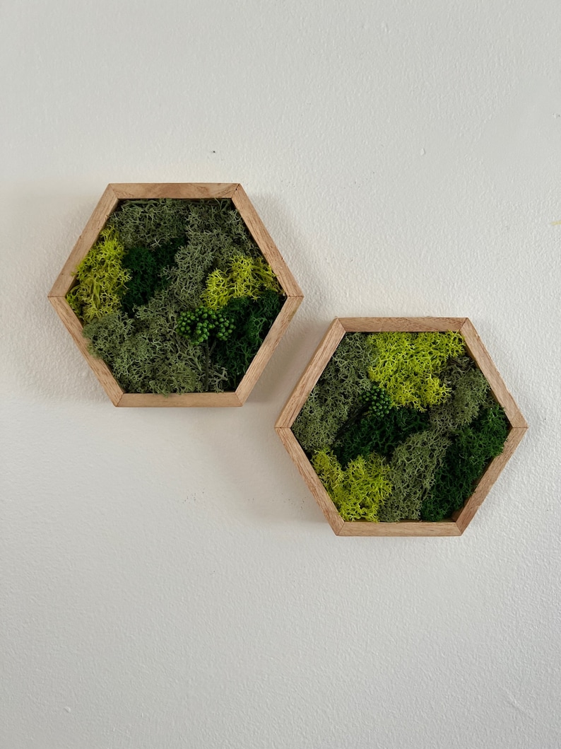 May include: Two hexagonal wooden frames with green and yellow preserved moss inside. The frames are mounted on a white wall.
