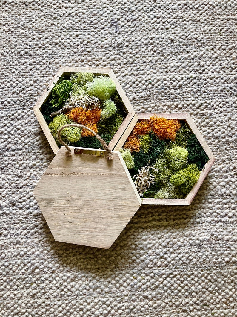 Moss Preserved Moss Wall Art Wall Art Home Etsy Canada