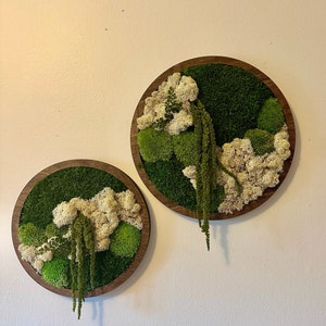 Framed Preserved Moss Wall Art: Reindeer & Sheet Moss Circle | USA ORDERS - Tariffs/Duties Prepaid