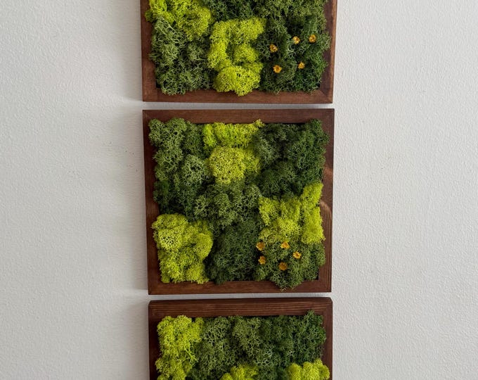 Preserved Reindeer Moss Wall Art: Wood Frame, Green Decor | USA ORDERS - Tariffs/Duties Prepaid