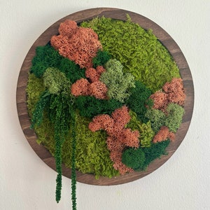 Moss Wall Art Circle Frame | Preserved Moss Art Framed | Moss Wall Decor | Single 10&quot; | Reindeer & Sheet Moss | Christmas Gift