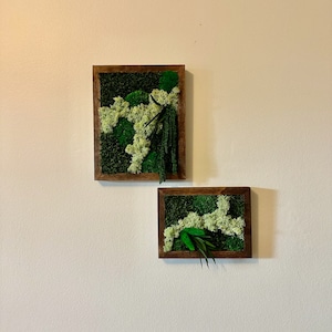 Moss Wall Art Rectangle Frame | Preserved Moss Art Framed | Moss Wall Decor | Single or Set of 2 | Pole, Reindeer & Sheet Moss | Preserved