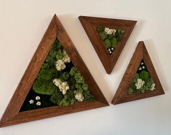 Moss Wall Art | Moss Wall Decor | Set of Three Triangle Wood Frames | Green Reindeer Moss Pole Moss Sheet Moss | Gift