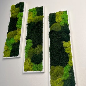 Moss Wall Art | Preserved Moss Art Framed | Moss Wall Decor | Moss Wall Sets | Rectangle Single to Six Set | Green Reindeer Moss Pole Moss