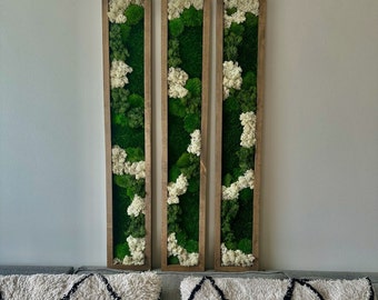 May include: Three rectangular framed wall art pieces with preserved green moss and white flowers. The frames are made of wood and have a natural finish.